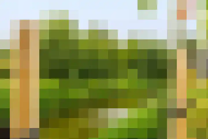 Poternehof 3 Langerak thumbnail 36