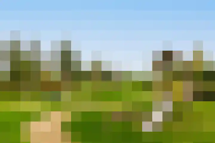 Poternehof 3 Langerak thumbnail 37