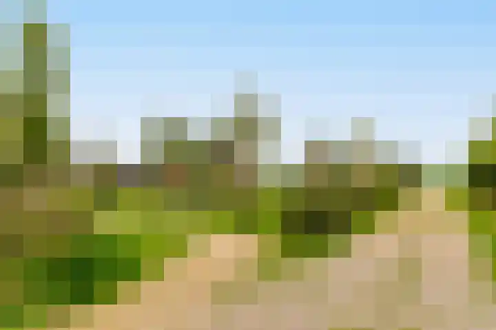 Poternehof 3 Langerak thumbnail 38