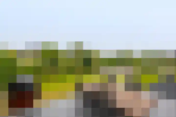 Poternehof 3 Langerak thumbnail 5