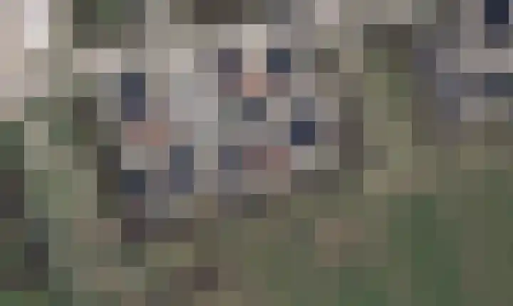 Poternehof 3 Langerak thumbnail 51