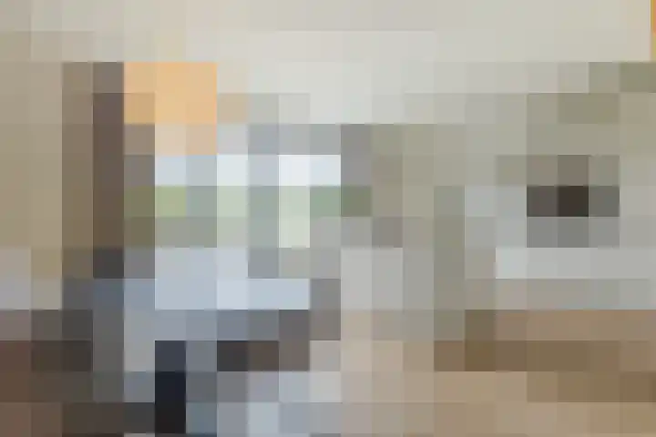 Poternehof 3 Langerak thumbnail 7