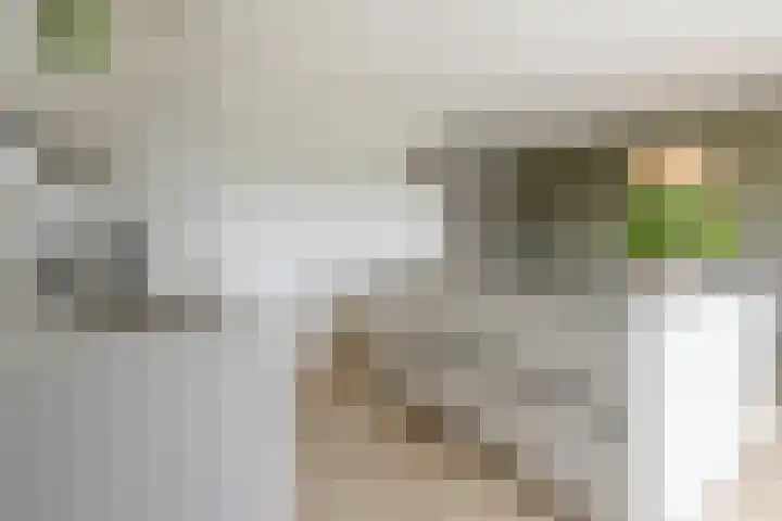 Poternehof 3 Langerak thumbnail 8