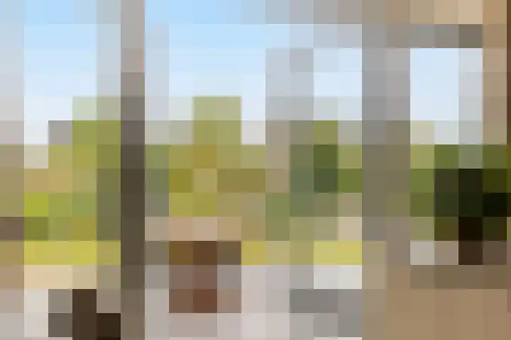 Poternehof 3 Langerak thumbnail 9