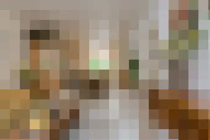 Poternestraat 8 Geertruidenberg thumbnail 14