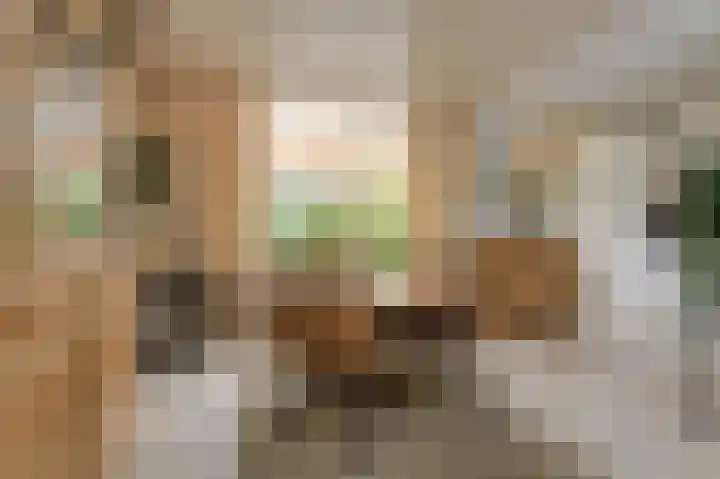 Poternestraat 8 Geertruidenberg thumbnail 18