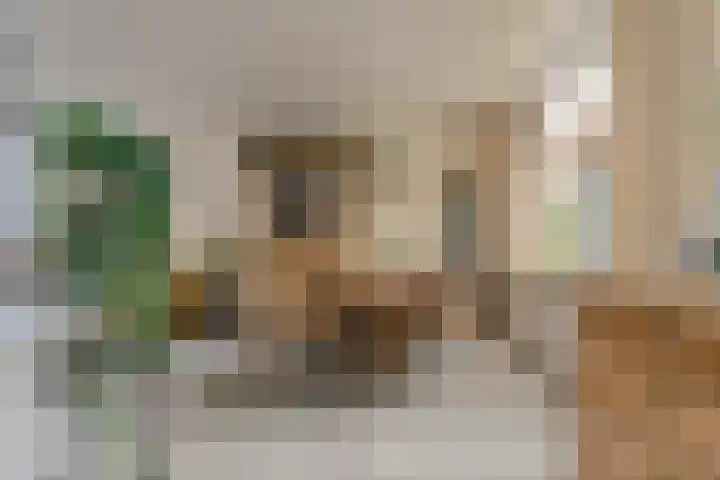 Poternestraat 8 Geertruidenberg thumbnail 22