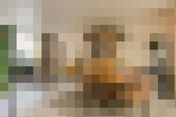 Poternestraat 8 Geertruidenberg thumbnail 23