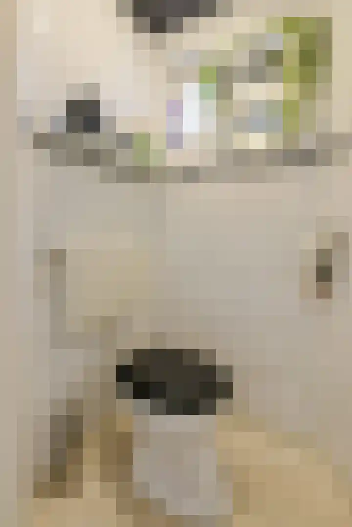 Poternestraat 8 Geertruidenberg thumbnail 26