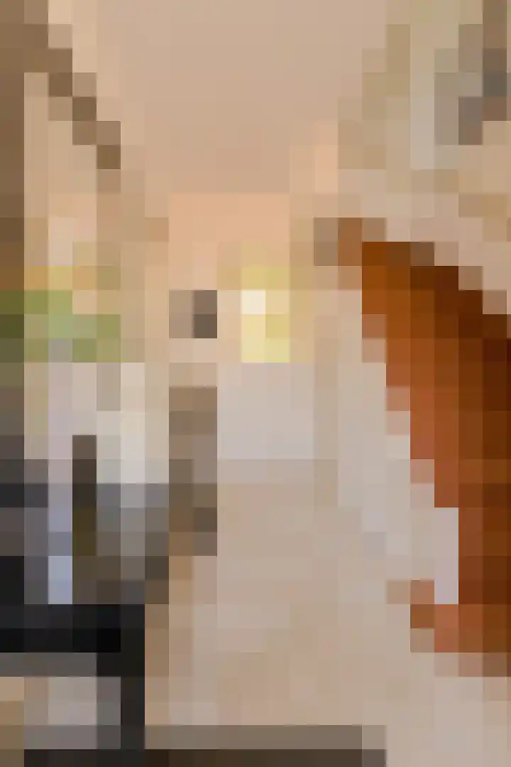 Poternestraat 8 Geertruidenberg thumbnail 27