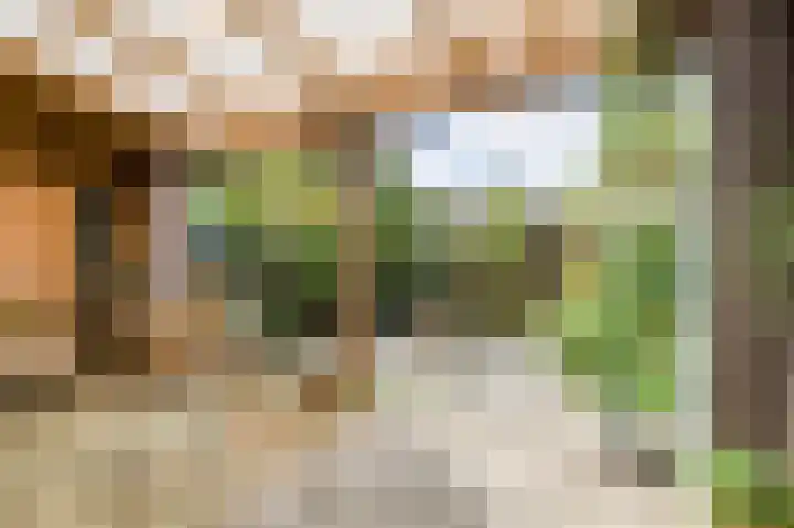 Poternestraat 8 Geertruidenberg thumbnail 45