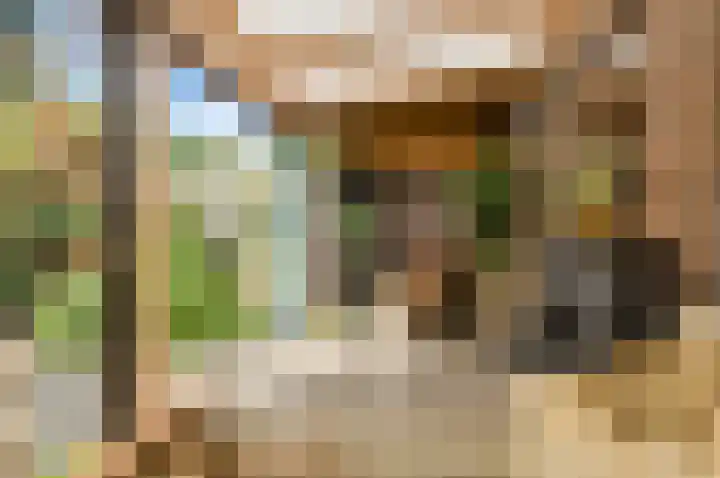 Poternestraat 8 Geertruidenberg thumbnail 47