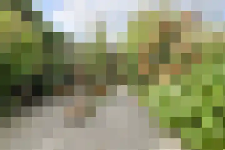 Poternestraat 8 Geertruidenberg thumbnail 49