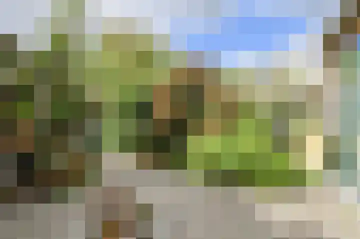 Poternestraat 8 Geertruidenberg thumbnail 50
