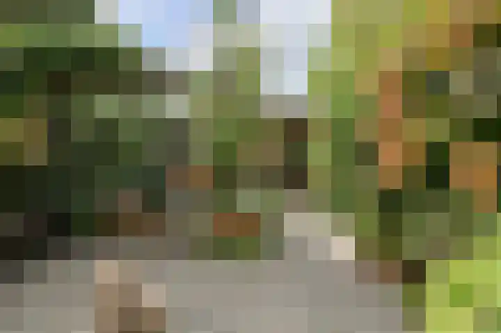 Poternestraat 8 Geertruidenberg thumbnail 51