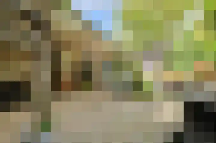 Poternestraat 8 Geertruidenberg thumbnail 53