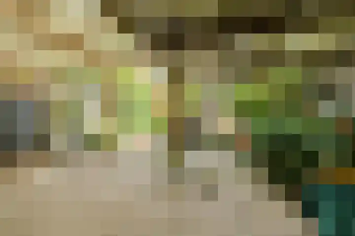 Poternestraat 8 Geertruidenberg thumbnail 55