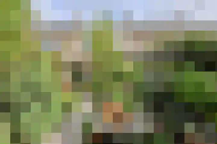 Poternestraat 8 Geertruidenberg thumbnail 56