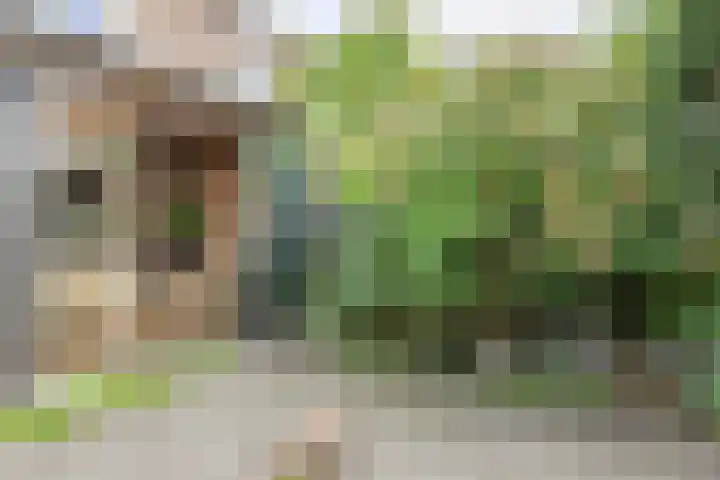 Poternestraat 8 Geertruidenberg thumbnail 59