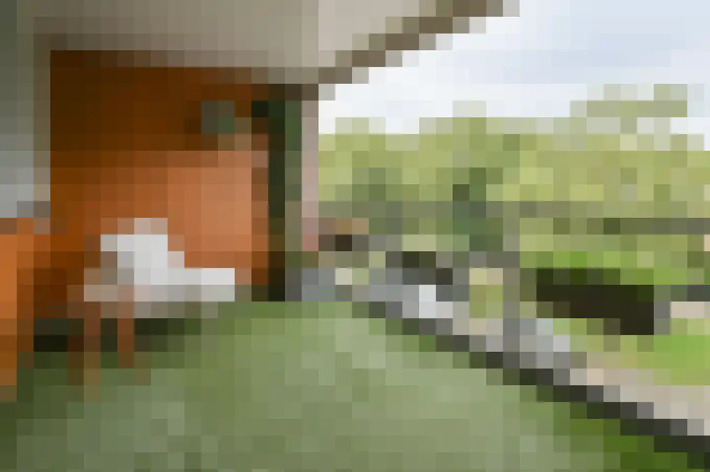 Potgieterhof 45 Uithoorn thumbnail 10