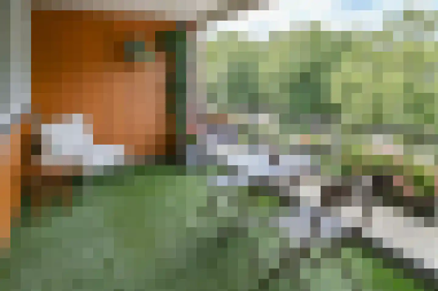 Potgieterhof 45 Uithoorn thumbnail 7
