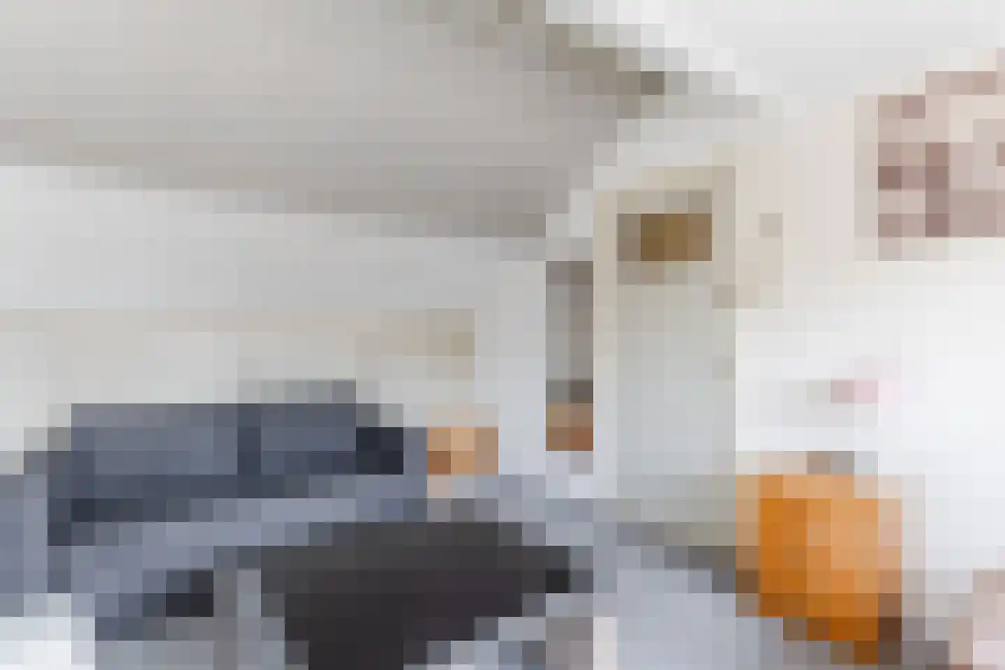 Potgieterlaan 1 Uithoorn thumbnail 42