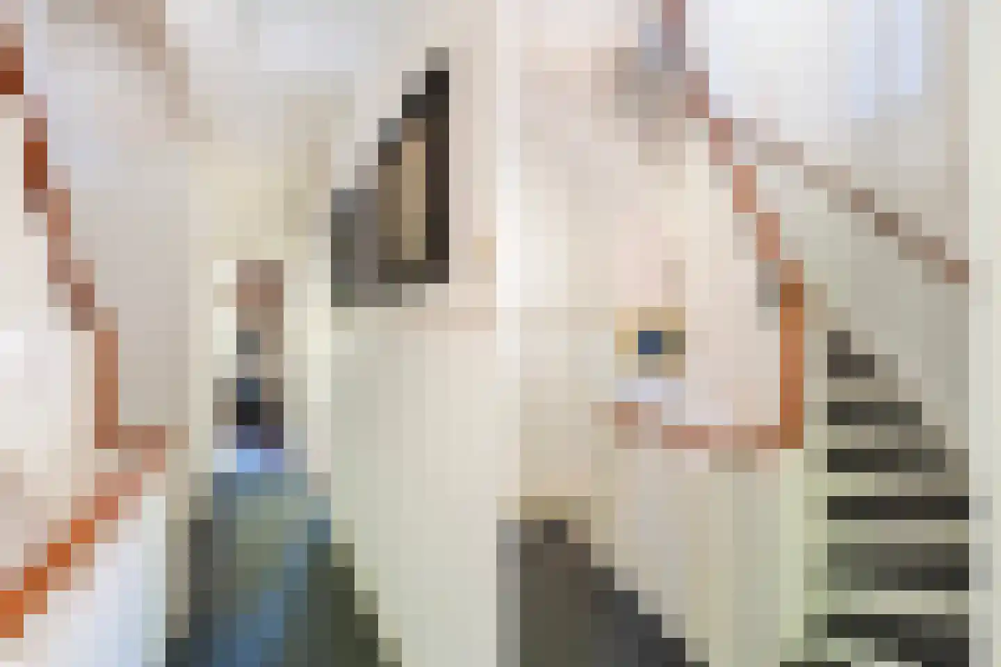 Potgieterlaan 12 Voorburg thumbnail 12