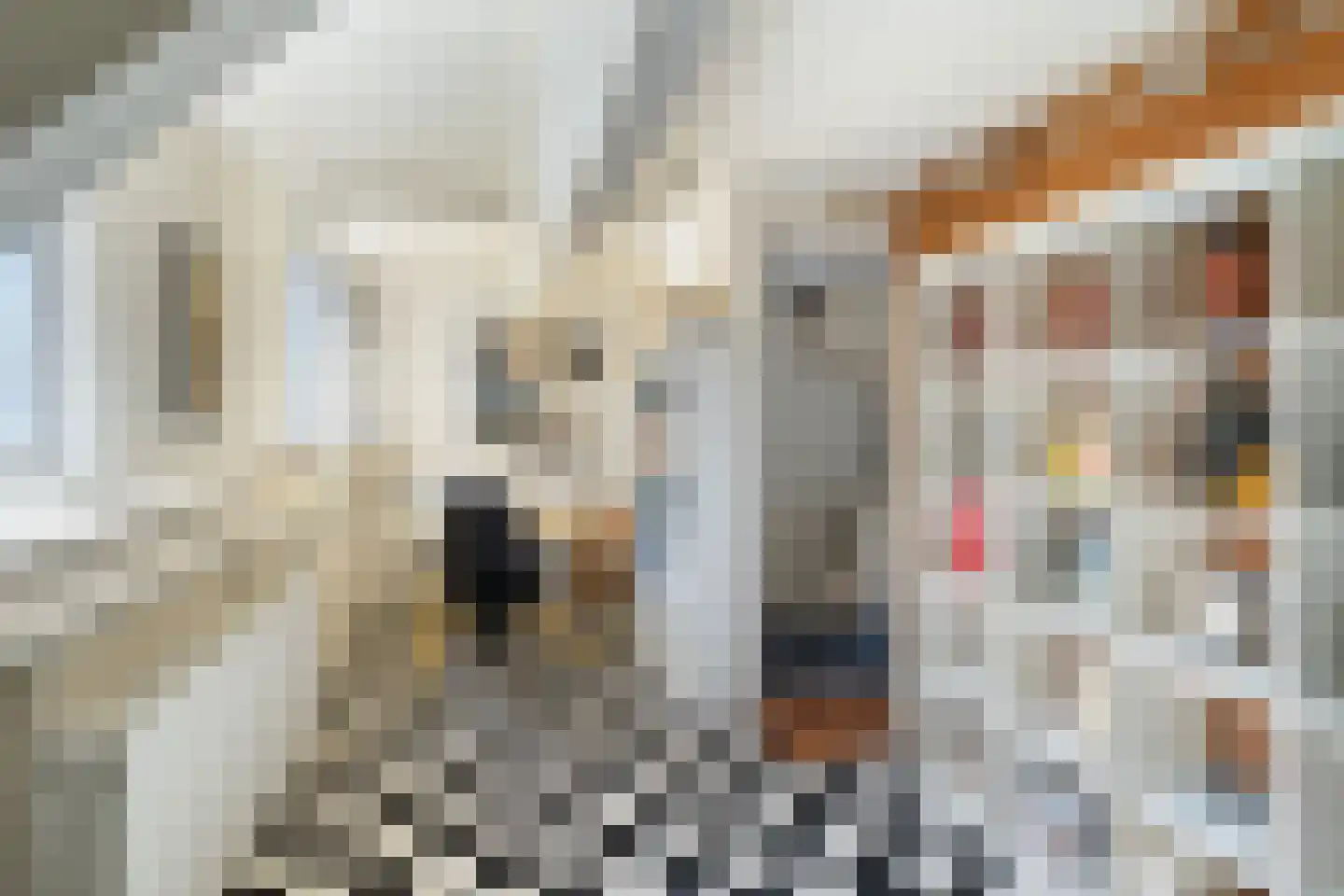 Potgieterlaan 12 Voorburg thumbnail 23