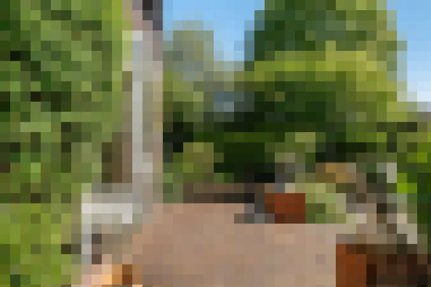 Potgieterlaan 12 Voorburg thumbnail 30