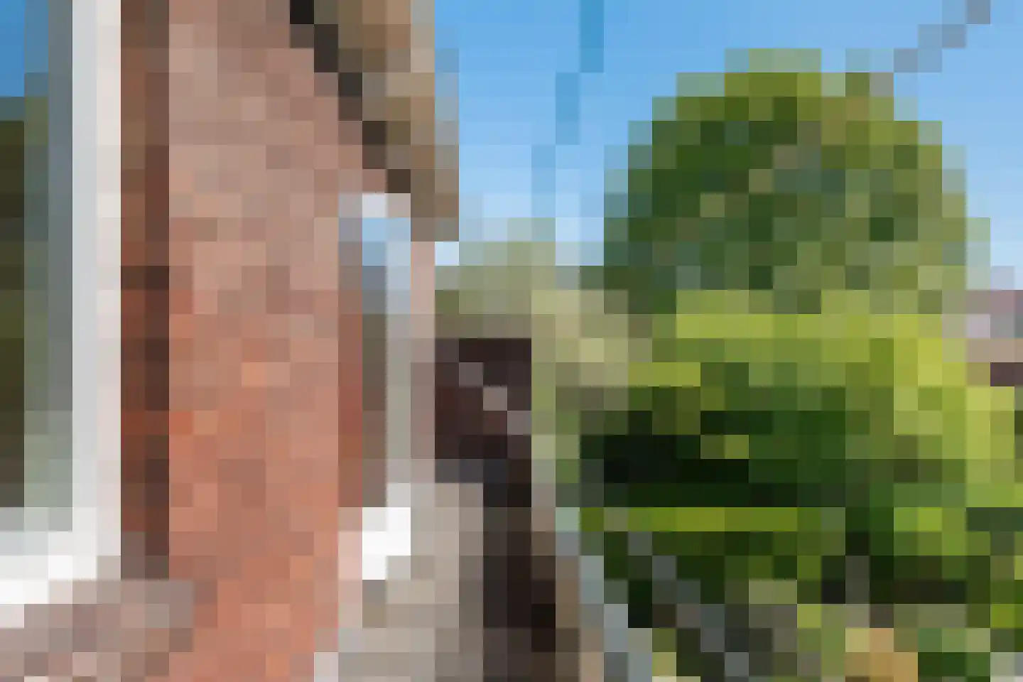 Potgieterlaan 12 Voorburg thumbnail 32