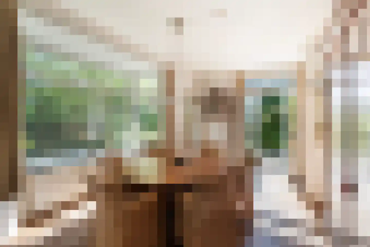Potgieterlaan 12 Voorburg thumbnail 8