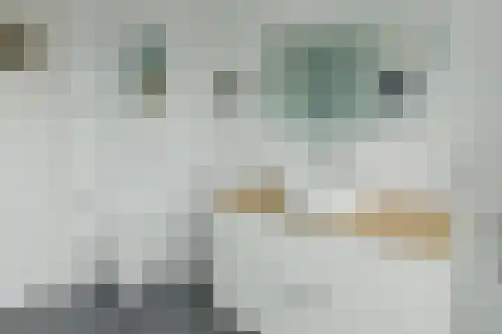 Potgieterlaan 24 Uithoorn thumbnail 16