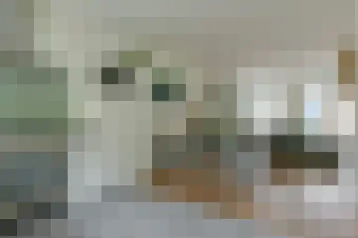 Potgieterlaan 24 Uithoorn thumbnail 9