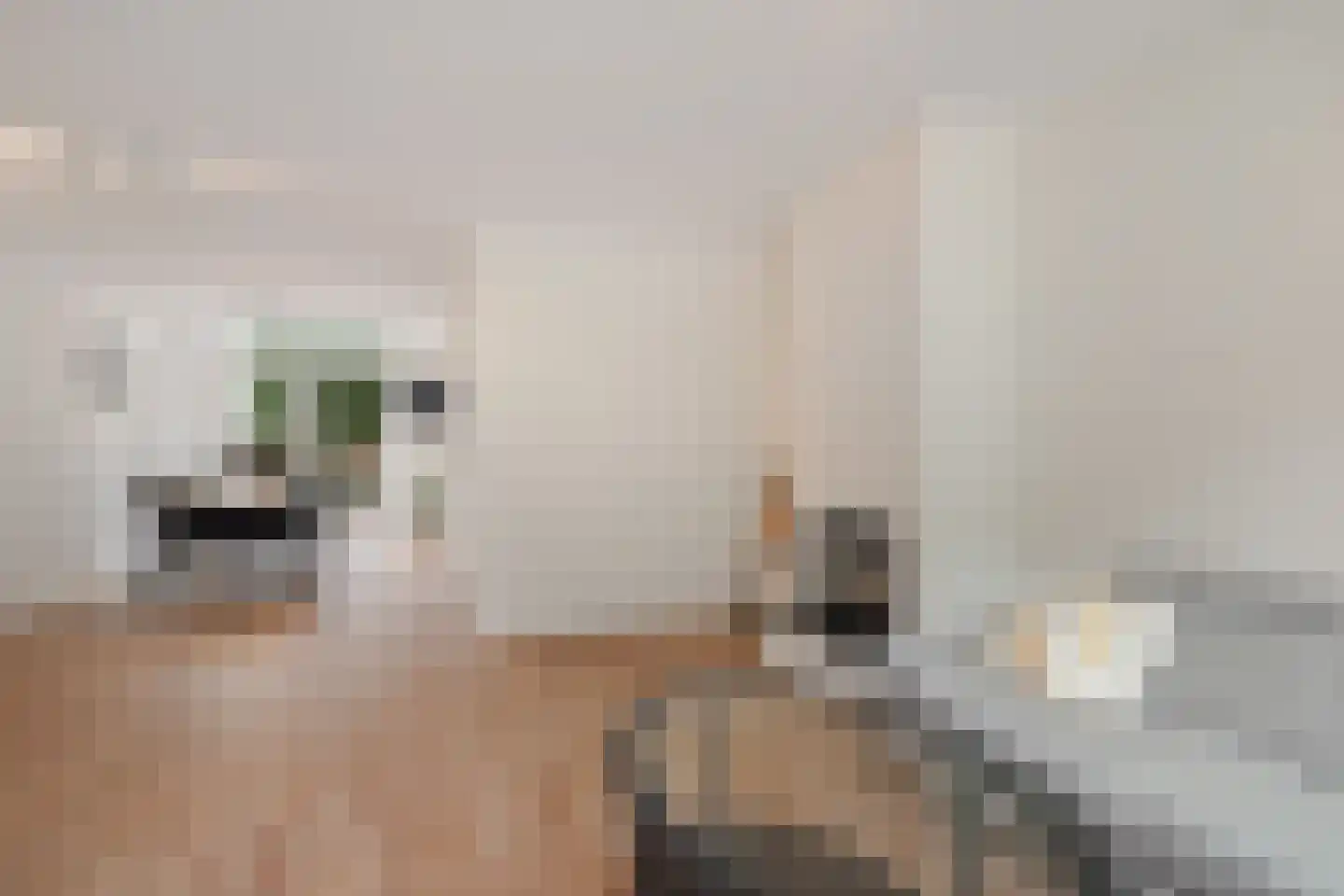 Potgieterlaan 29 Voorburg thumbnail 15