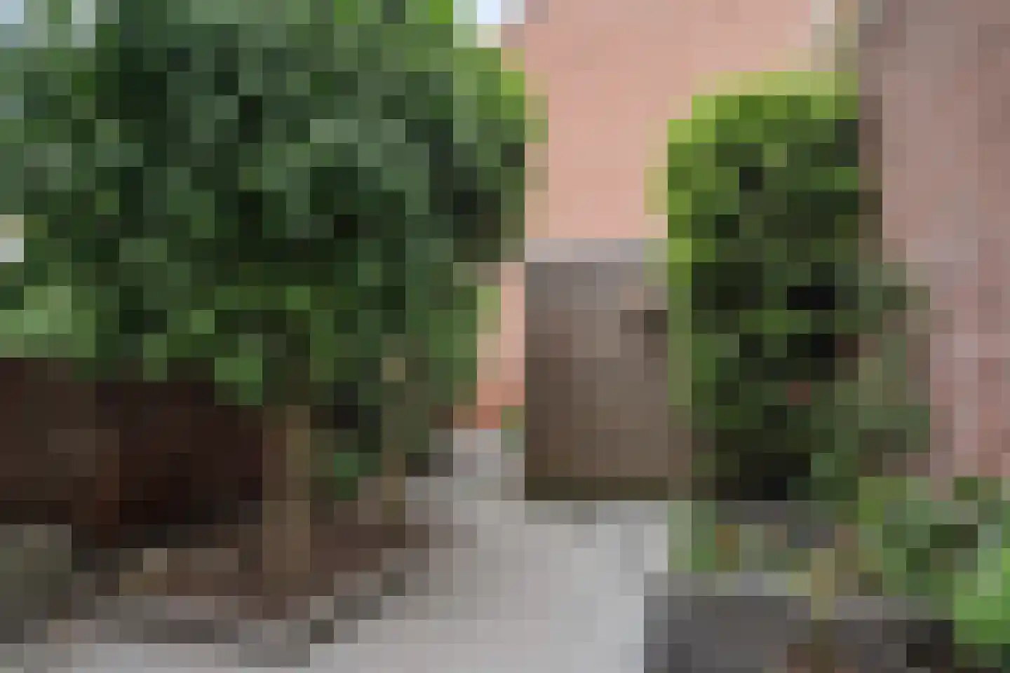 Potgieterlaan 29 Voorburg thumbnail 25
