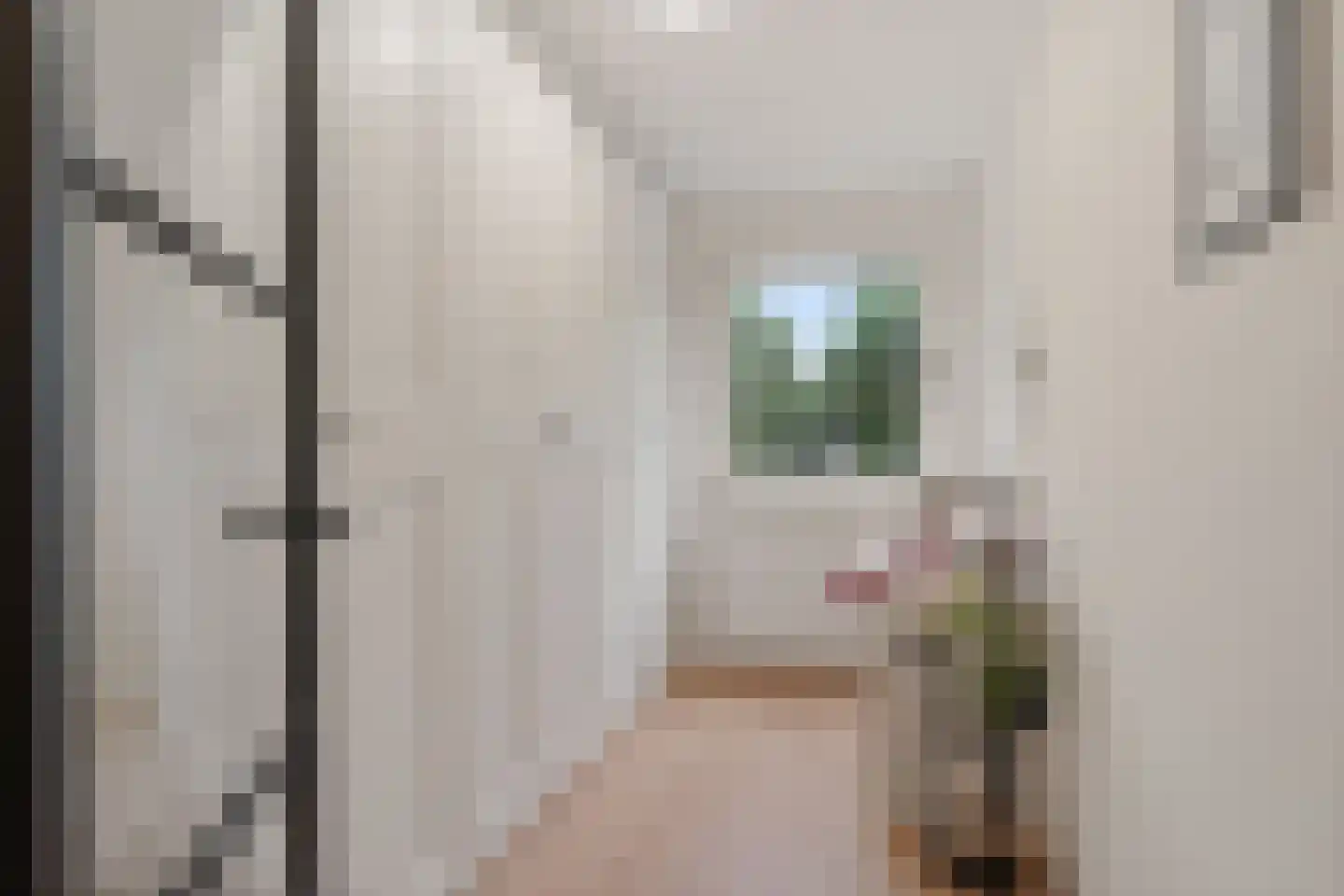 Potgieterlaan 29 Voorburg thumbnail 42