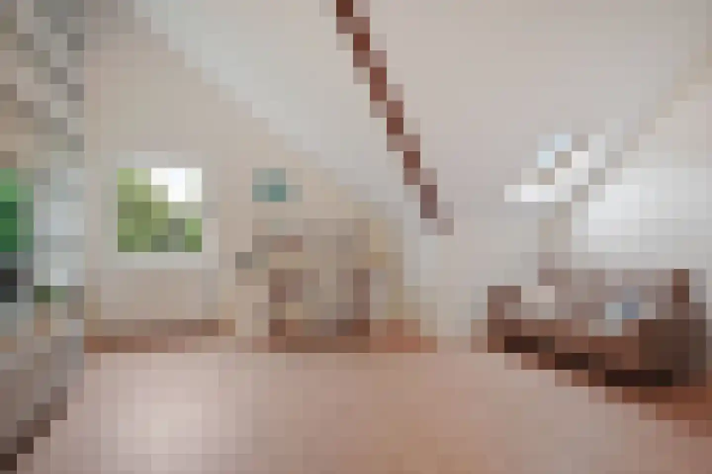 Potgieterlaan 29 Voorburg thumbnail 47