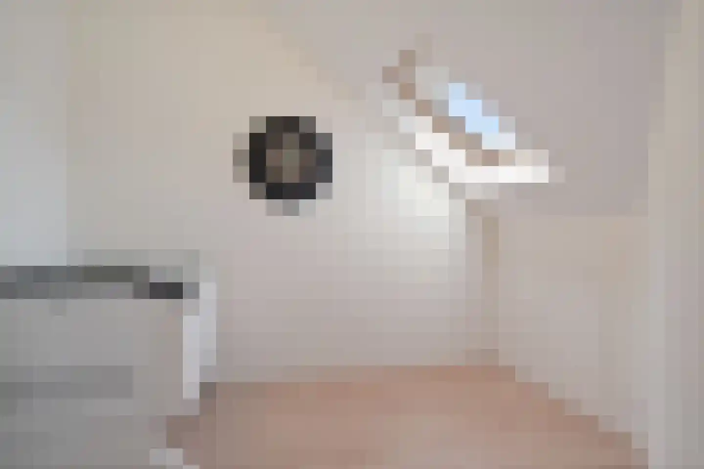 Potgieterlaan 29 Voorburg thumbnail 49
