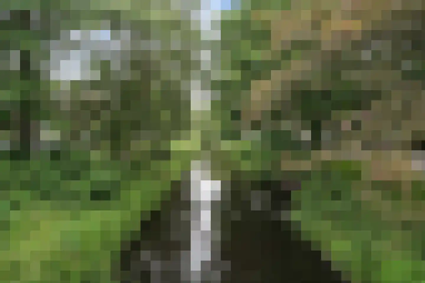 Potgieterlaan 29 Voorburg thumbnail 54