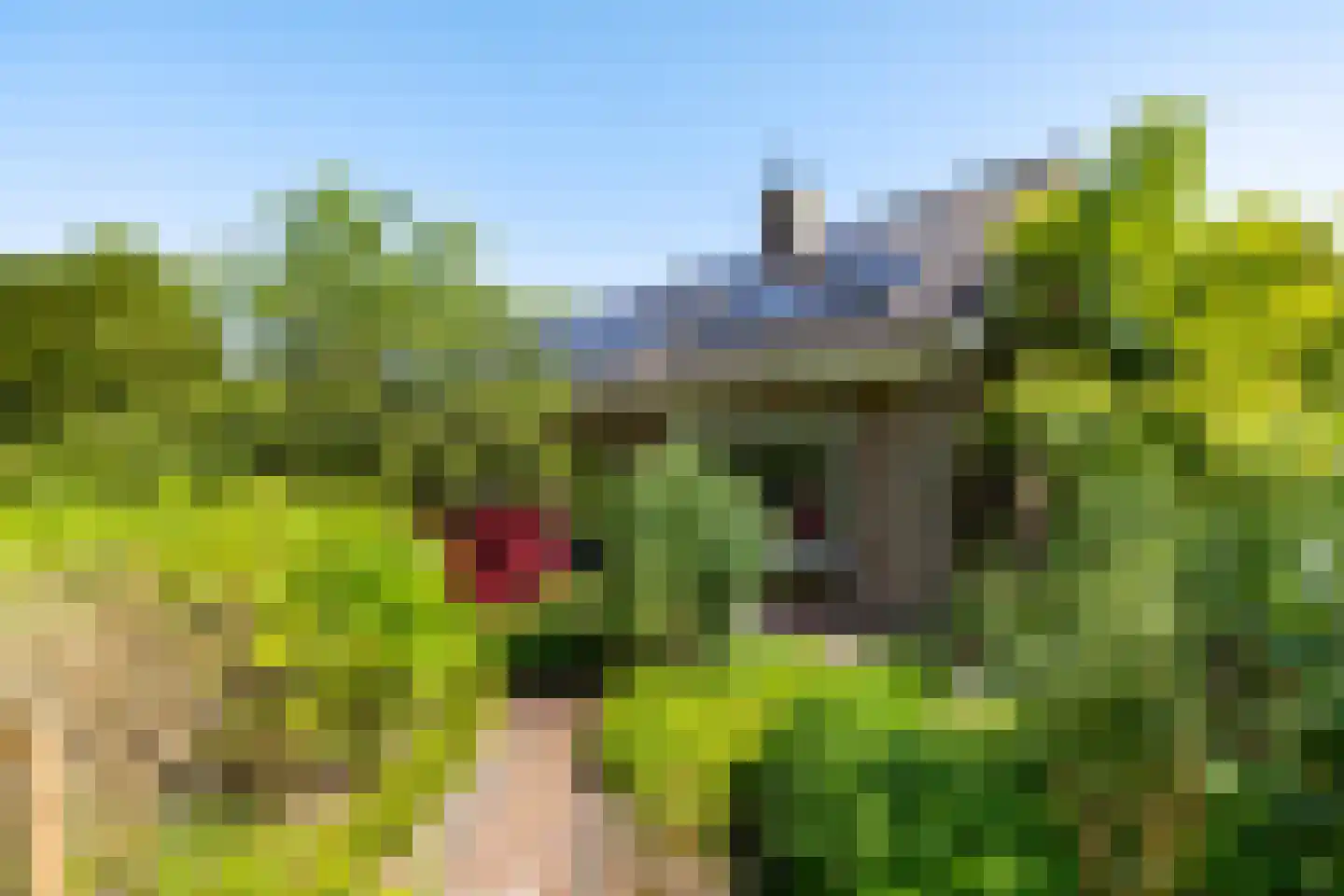 Potgieterlaan 45 Haren Gn thumbnail 33