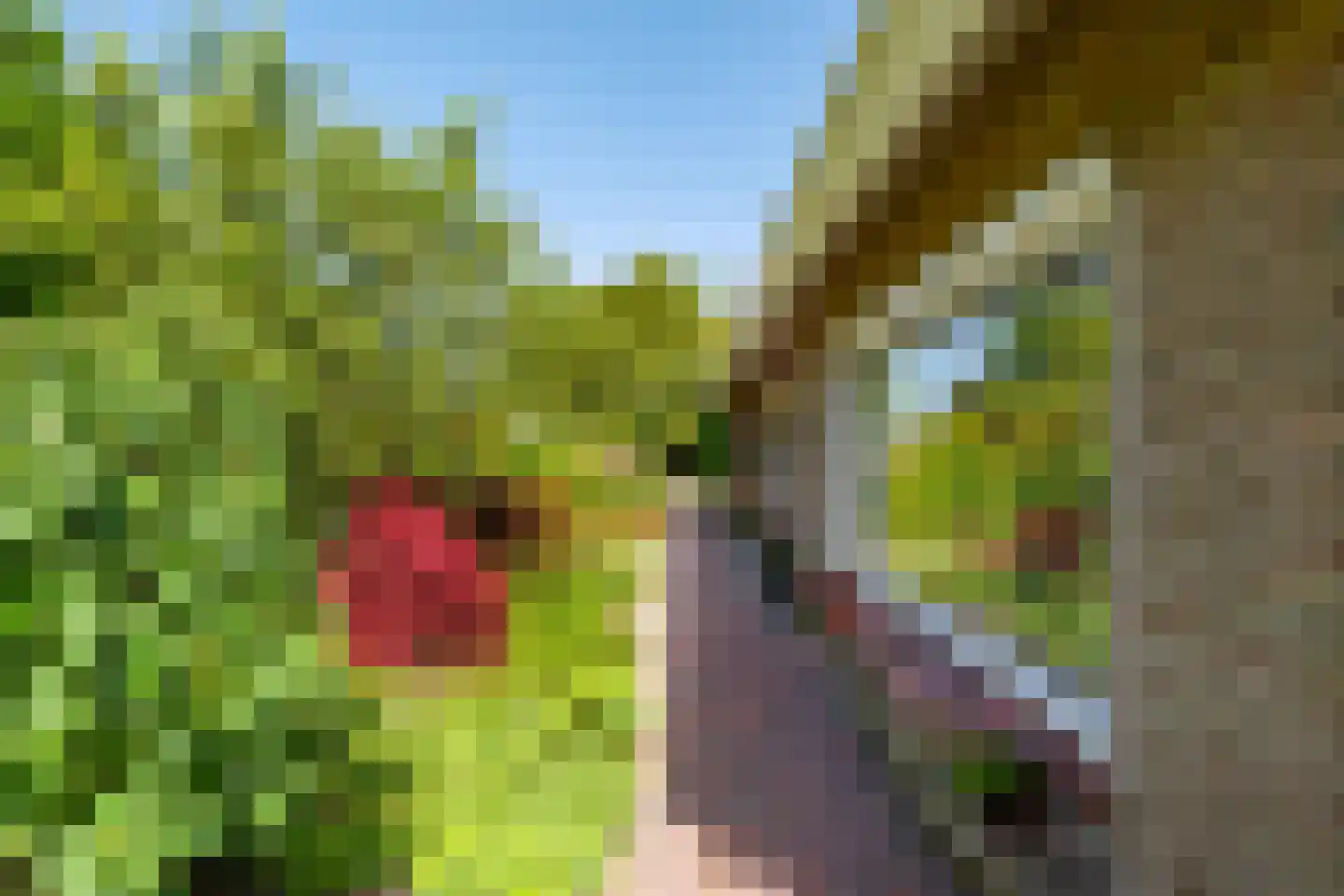 Potgieterlaan 45 Haren Gn thumbnail 34