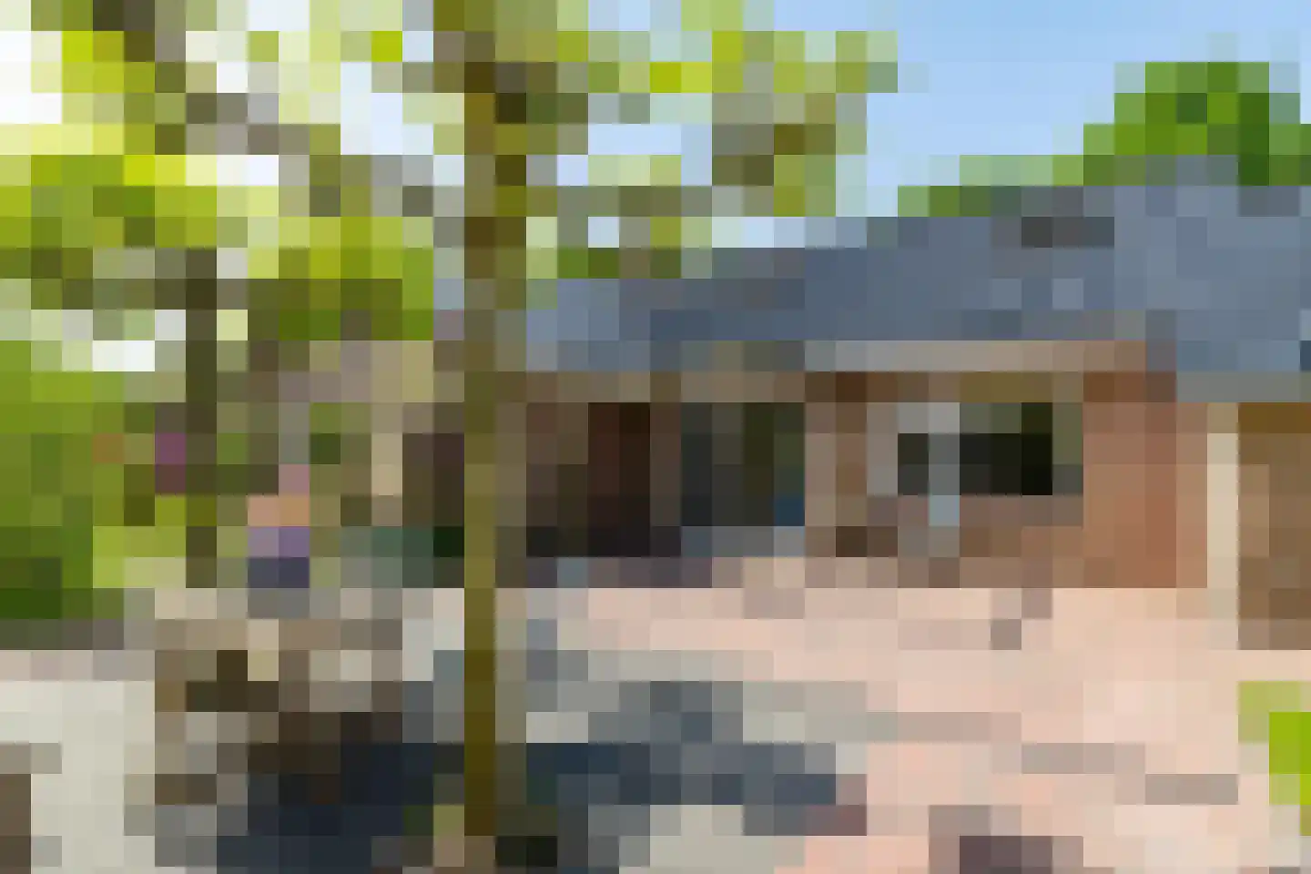 Potgieterlaan 45 Haren Gn thumbnail 36