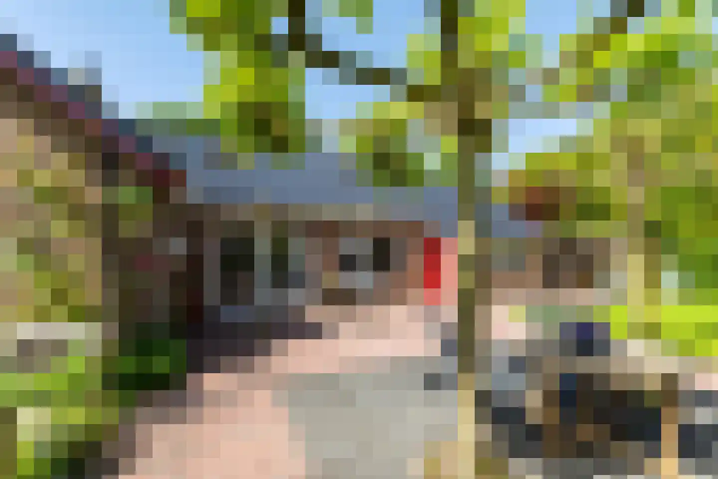 Potgieterlaan 45 Haren Gn thumbnail 38