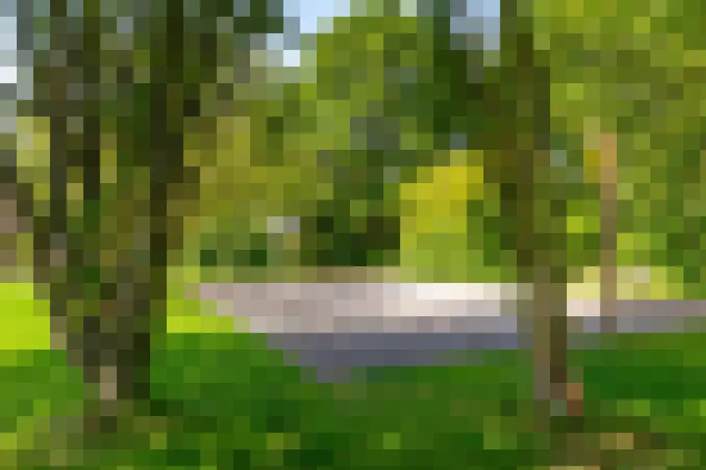 Potgieterlaan 45 Haren Gn thumbnail 43