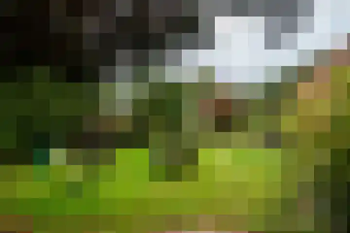 Potgieterlaan 47 Haren Gn thumbnail 10