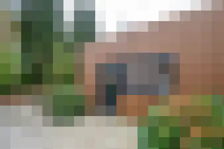 Potgieterlaan 47 Haren Gn thumbnail 39