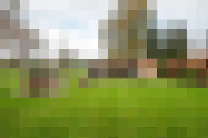 Potgieterlaan 47 Haren Gn thumbnail 41