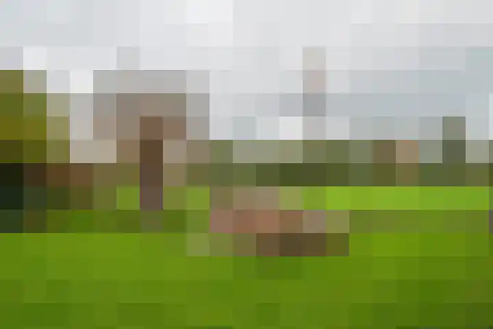 Potgieterlaan 47 Haren Gn thumbnail 43