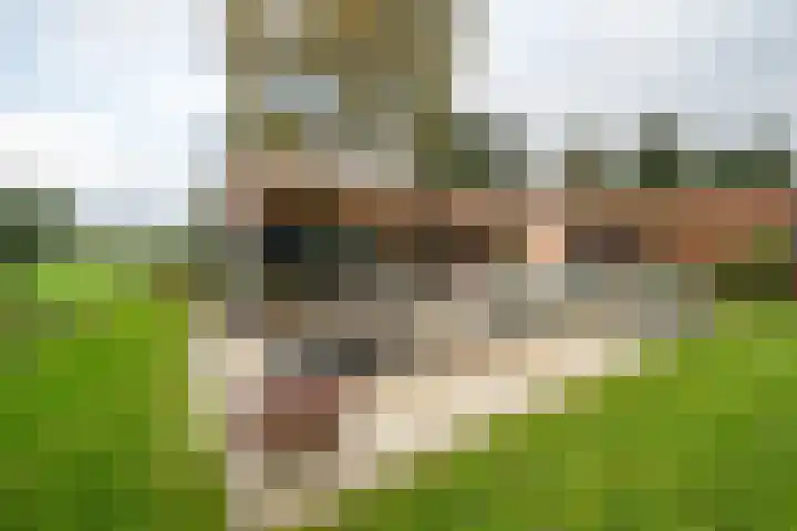 Potgieterlaan 47 Haren Gn thumbnail 44