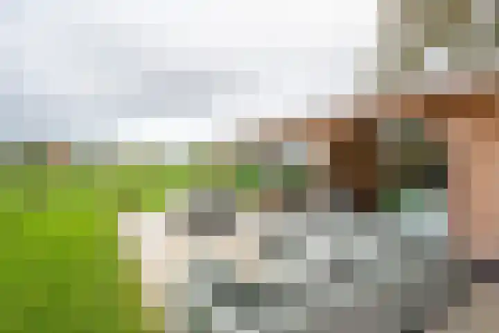 Potgieterlaan 47 Haren Gn thumbnail 45